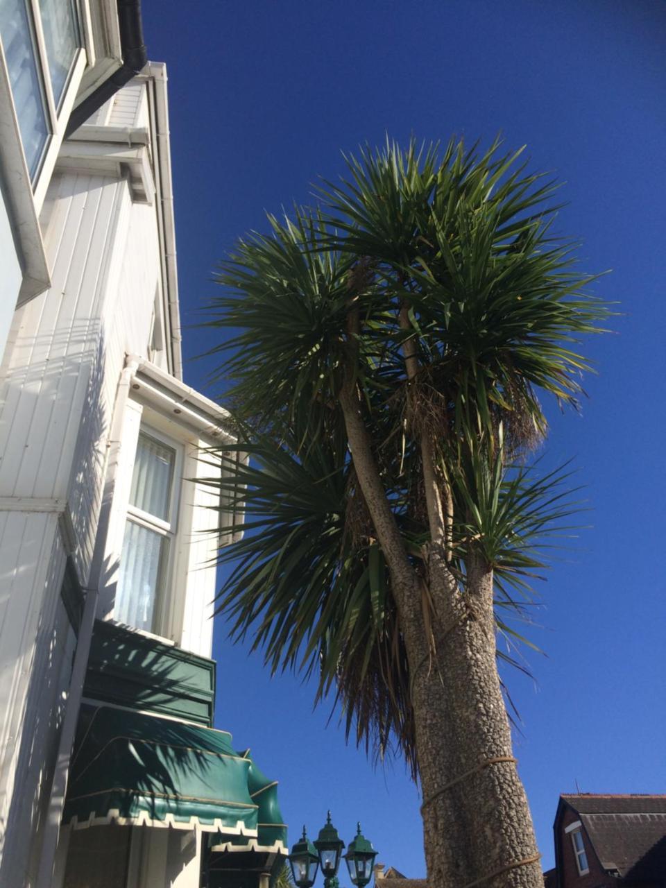 The Haldon Guest House Paignton Eksteriør billede